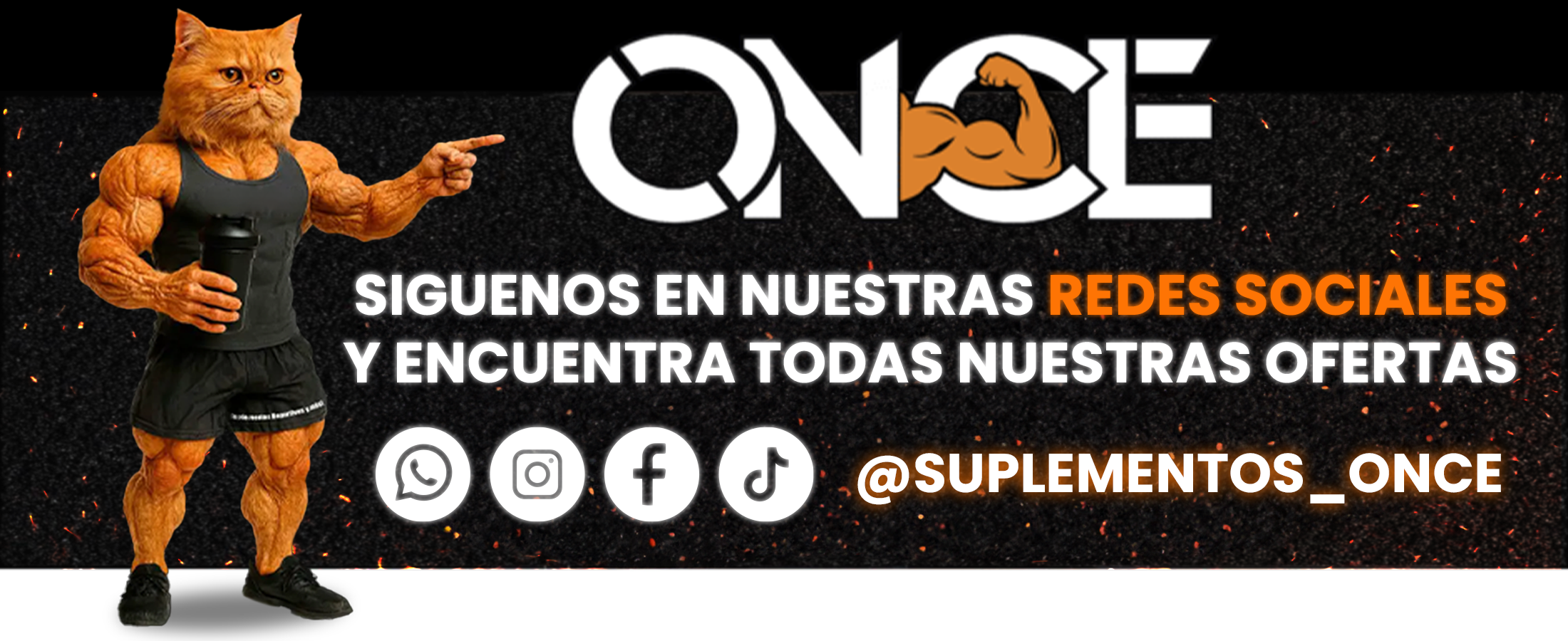 Banner Inferior Pagina Principal 1